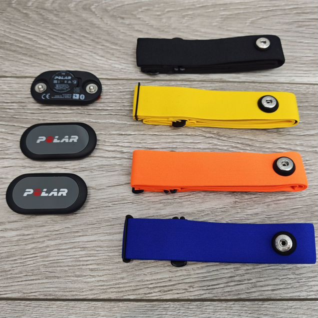 Polar H9