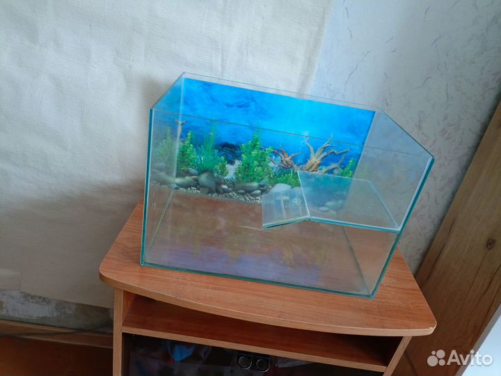 Аквариум для черепах бу