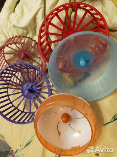 Аксессуары для грызунов