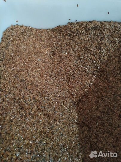 Лён обезжиренный