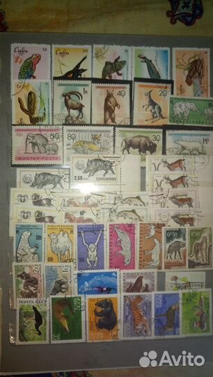 Марки СССР Заруб. Фауна Флора и др.1956-74г
