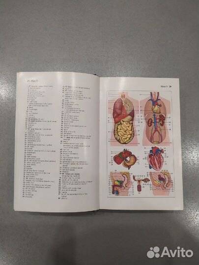 Картинный словарь английского языка