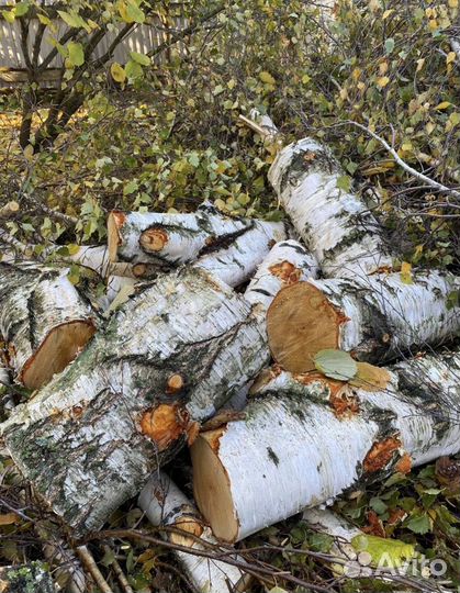 Дрова березовые