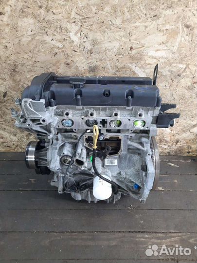 Двигатель Ford focus 2 1.6 100лс shda