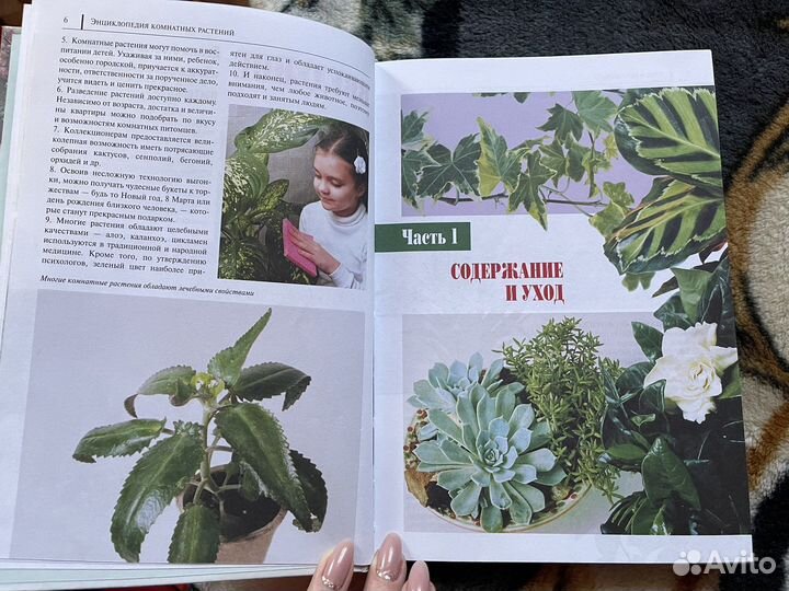 Энциклопедия комнатных растений