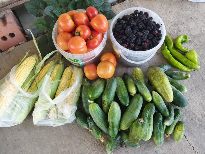 Участок 8 сот. (ИЖС)