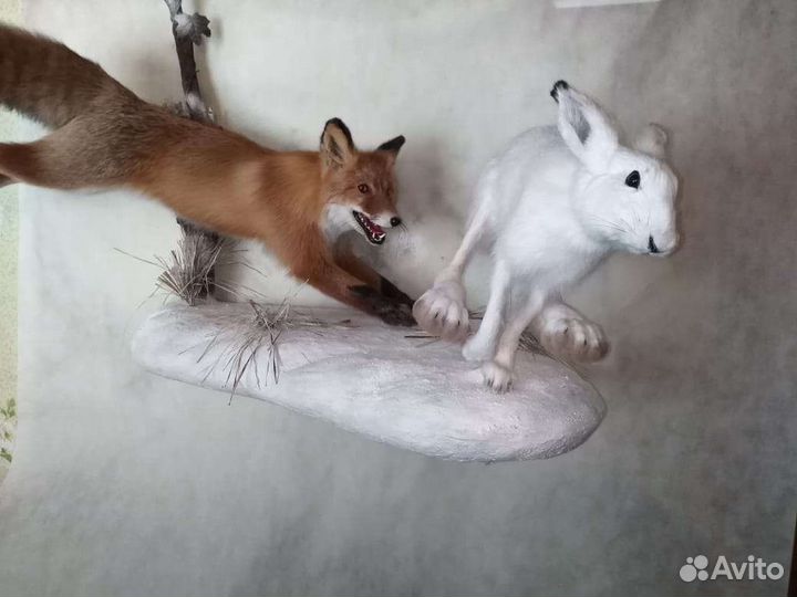 Чучело рыбы. Таксидермия охотничьих трофеев