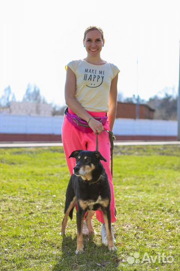 Клайд-скромный и душевный ищет дом