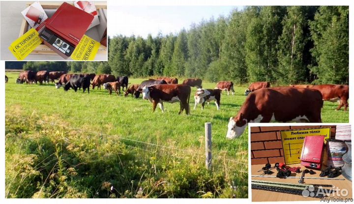 Электропастух