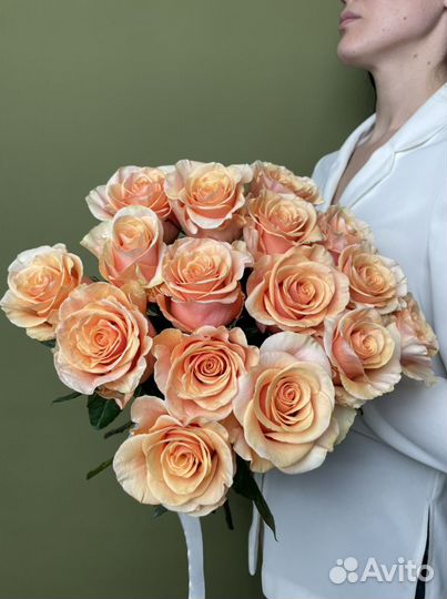 Цветы Розы Букет, Букет Цветов, Букет «Тофи»