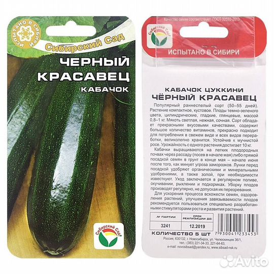 Рассада огурцов, кабачков