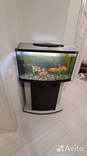 Аквариум 120 литров в полном комплекте