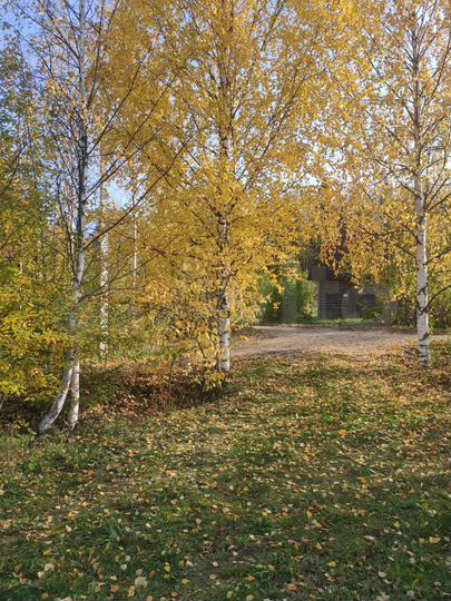 Дача 36 м² на участке 10 сот.