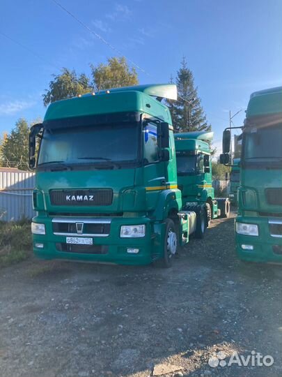 КамАЗ 5490 NEO, 2017