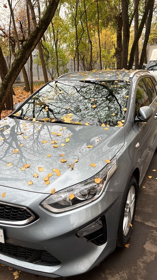 Kia Ceed: фото владельца