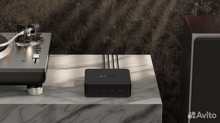 Стриминговыи Hi-Fi стерео аудиоплеер WiiM PRO