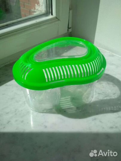 Террариум для морской черепахи