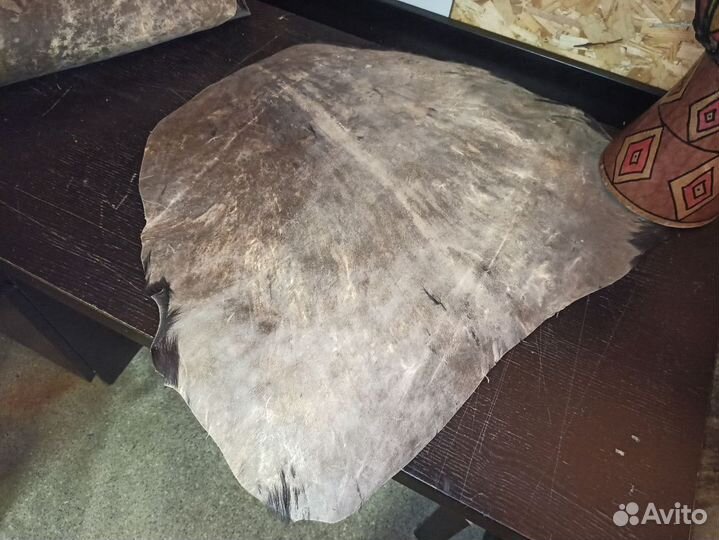 Кожа африканской козы для джембе средней плотности