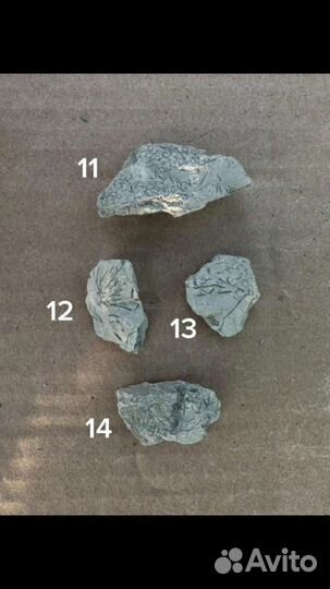 Интересные камни и окаменелости