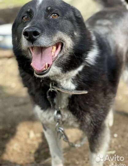 Оливия- это чудо девочка