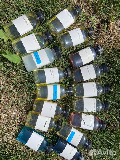 Духи интрига,Крид Авентус