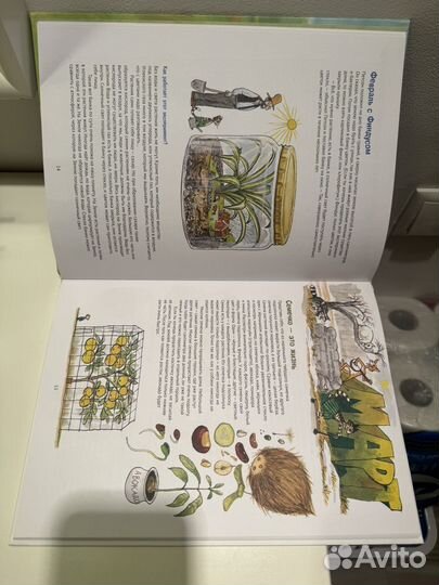 Проделки финдуса