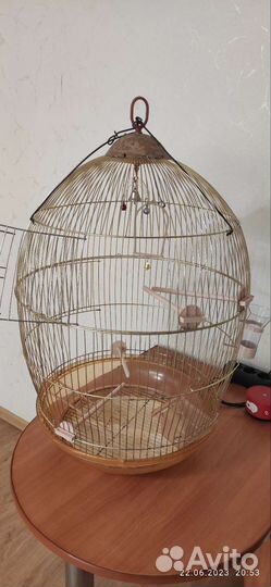 Клетка для птиц