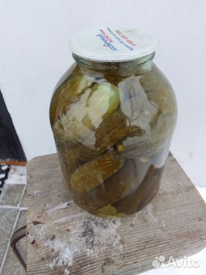 Огурцы соленые и, помидоры