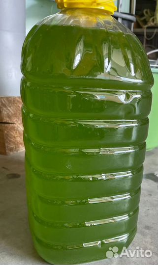 Хлорелла для водоёмов растений и животных