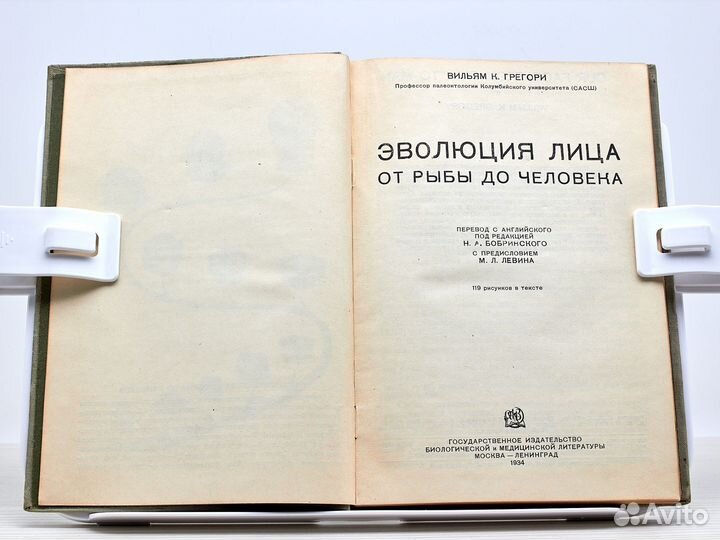 Эволюция лица. От рыбы до человека / В.К. Грегори