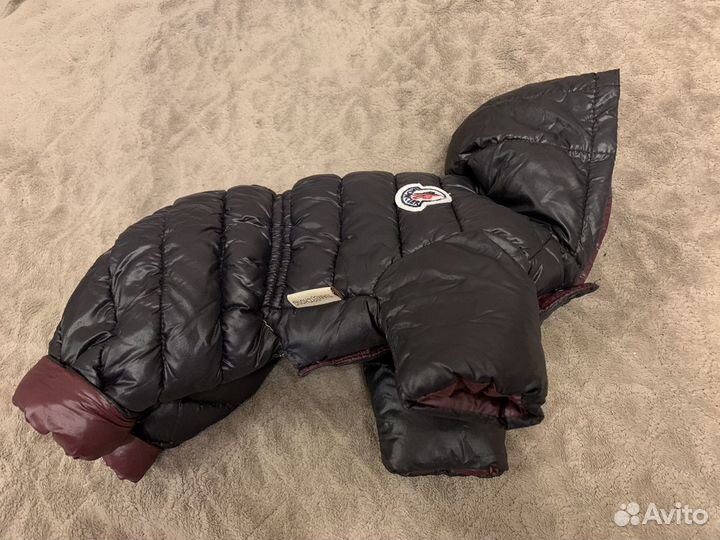 Комбинезон для небольшой собачки