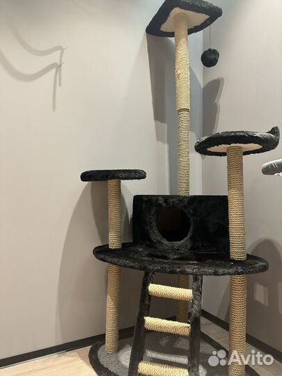 Когтеточка-домик для кошки