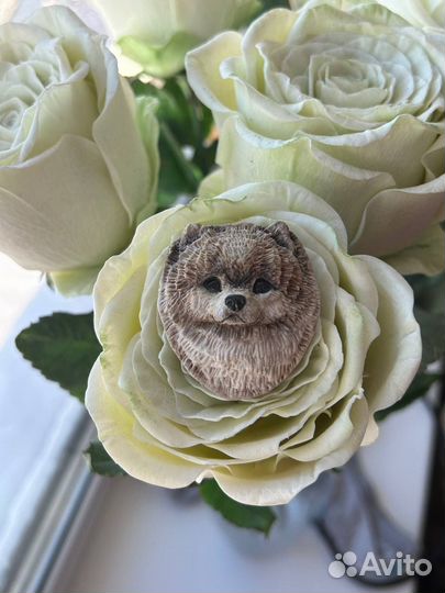 Броши выставочные