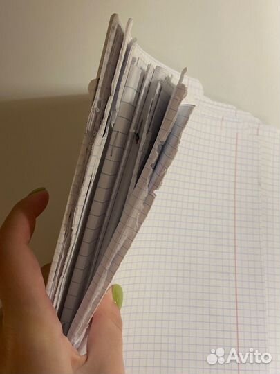 Школьные принадлежности