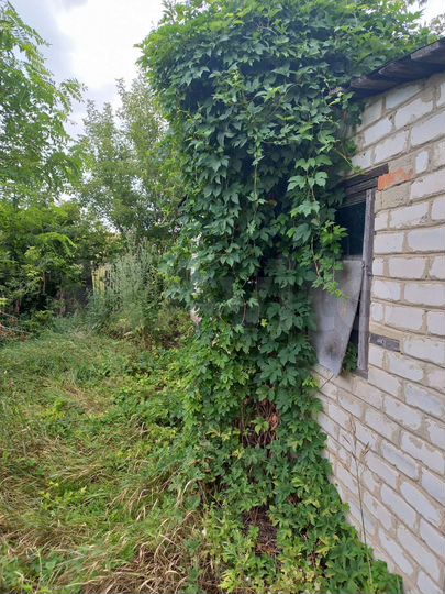 Дом 24 м² на участке 35 сот.