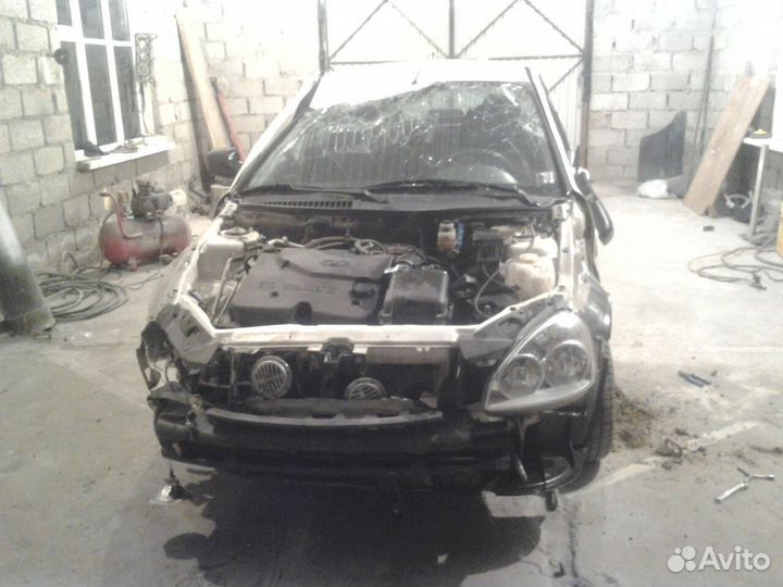 Костоправ Маляр