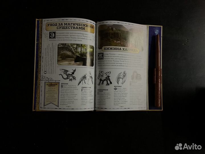 Карта мародеров