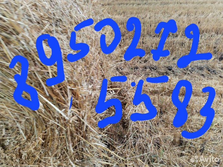 Солома в рулонах