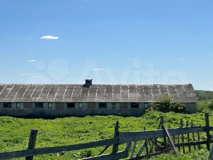 Готовый бизнес, ферма с земельным участком