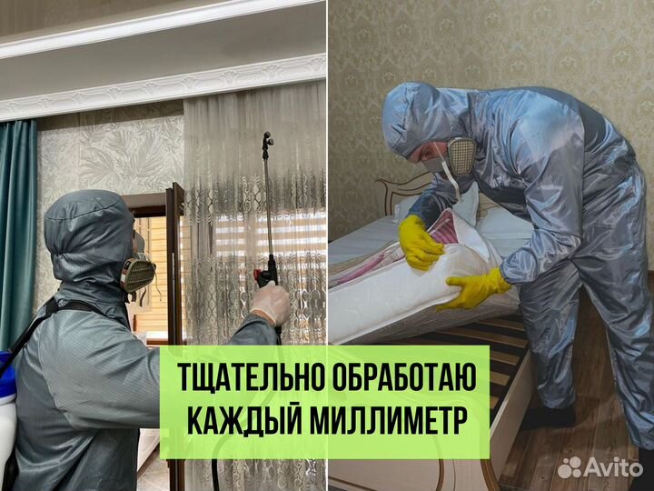 Уничтожение тараканов, клопов, крыс. Дезинсекция