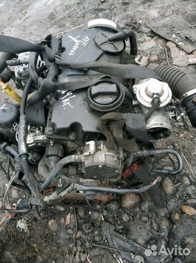 Двигатель Volkswagen 1.9 tdi AVF