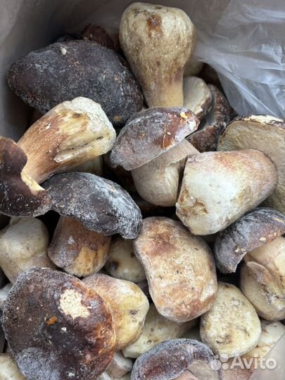 Грибы белые (Цельные и кубики)