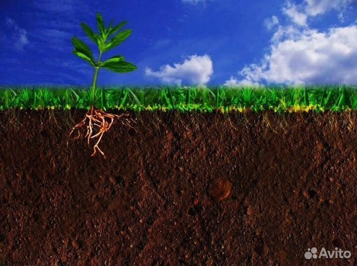 Грунт растительный