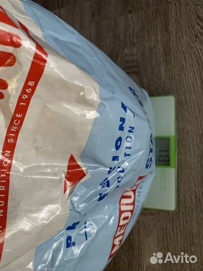 Royal Canin Medium Starter