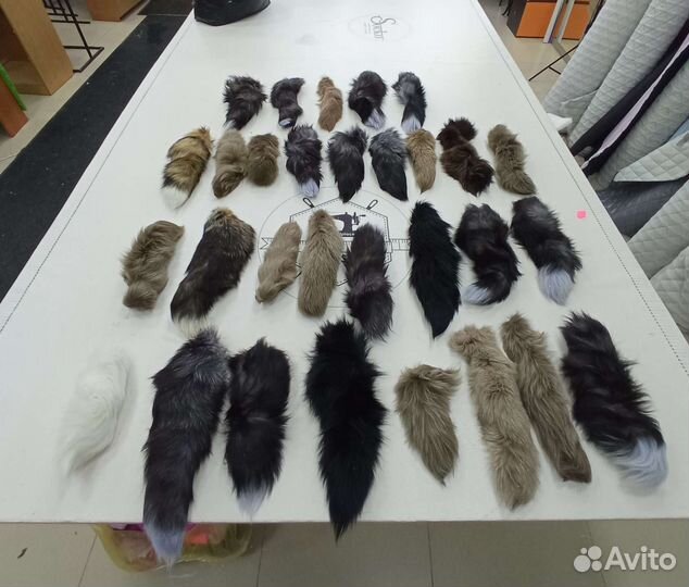 Хвост лисы песца