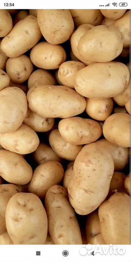 Продам картофель
