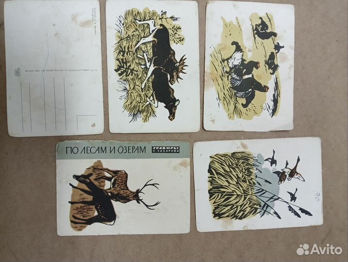 Открытки гравюры худ. Захаров. Е