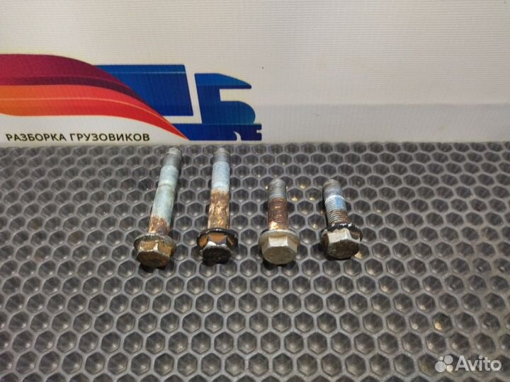 06028134813 Комплект болтов подушки двигателя