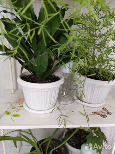 Подвесные полки