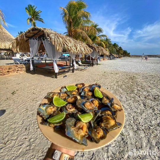 Туры Венесуэла к самому высокому водопаду